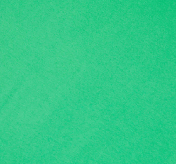 Baumwoll - Jersey Stoff einfarbig grasgrün - Meterware ab 25 cm x 160 cm