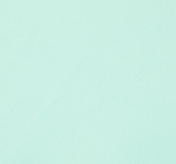 Baumwoll - Jersey Stoff einfarbig mintgrün - Meterware ab 25 cm x 160 cm