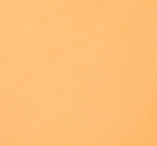 Baumwoll - Jersey Stoff einfarbig orange - Meterware ab 25 cm x 160 cm